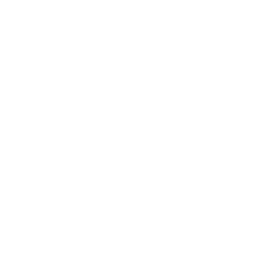 Shield icon